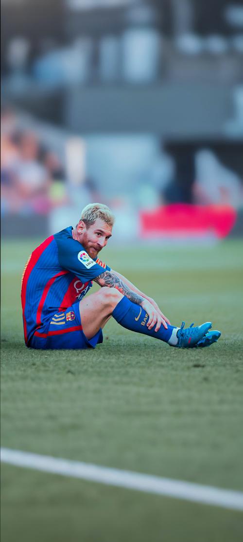 常规赛12月31日：辽宁本钢VS上海久事